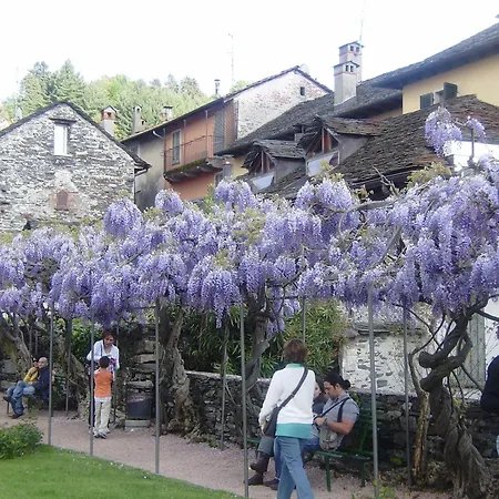 Apartment Orta *